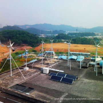 Fonte de alimentação verde de 48V para o sistema híbrido solar do vento